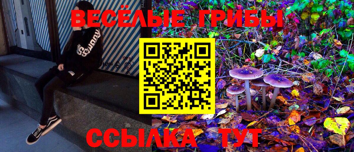 Галлюциногенные грибы прущие грибы Малоярославец